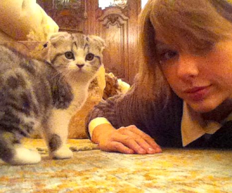 iPhone ของ Taylor Swift เต็มไปด้วยแมว