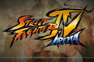 เปิดตัวเกมส์ Street Fighter IV Arena จับมือสู้แบบเเท็คทีม