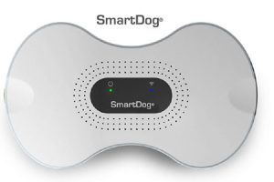 SmartDog อุปกรณ์อัจฉริยะที่จะไม่ปล่อยให้สุนัขของคุณต้องเหงาหงอยอีกต่อไป