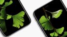 ลือหนาหู! Apple ตัดสินใจเลือกใช้จอ OLED แบนเรียบกับ iPhone 8 ไม่ใช่จอโค้ง