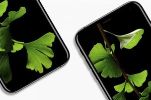 ลือหนาหู! Apple ตัดสินใจเลือกใช้จอ OLED แบนเรียบกับ iPhone 8 ไม่ใช่จอโค้ง