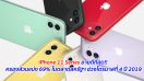 iPhone 11 Series ขายดีที่สุด!! ครองส่วนแบ่ง 69% ในตลาดสหรัฐฯ ช่วงไตรมาสที่ 4 ปี 2019