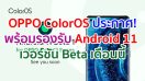 OPPO ColorOS ประกาศพร้อมรองรับ Android 11 เวอร์ชัน Beta แล้ว เดือนนี้!