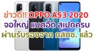 OPPO A53 2020 จอใหญ่ 90Hz ชิป Snapdragon 460 แบตอึด 5000mAh ผ่านการรับรองจาก กสทช. ของไทยแล้ว!!