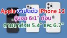 iPhone 12 จะเปิดตัวรุ่นจอ 6.1 นิ้วก่อน ส่วนรุ่น 5.4 นิ้ว และ 6.7 นิ้ว จะเปิดตัวในภายหลัง