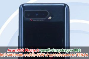 Asus ROG Phone 5 ขุมพลัง Snapdragon 888 แบตยักษ์ 6000mAh ชาร์จไว 65W ผ่านการรับรองจาก TENAA แล้ว!!